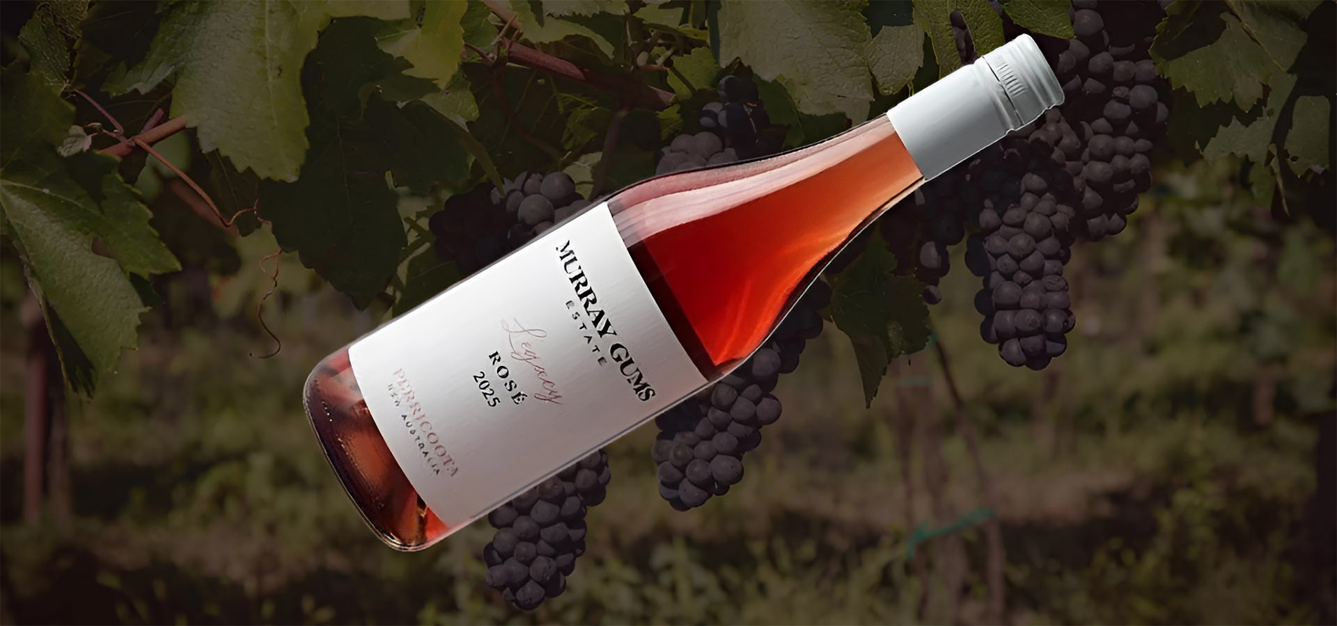 Legacy-Rose-header 2025